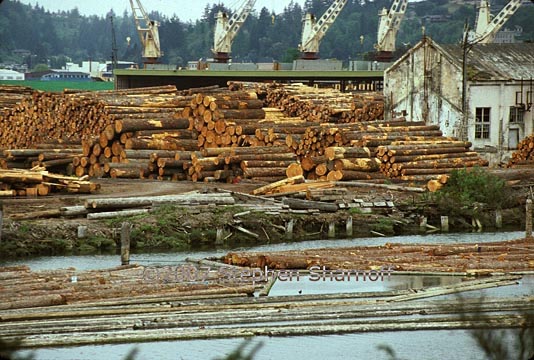 log dock graphic