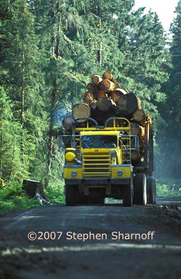 log truck alaska graphic
