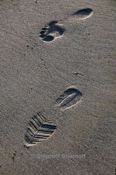 footprints 1 graphic