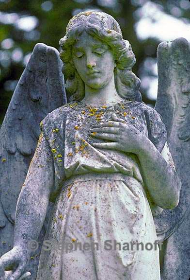 Angel Statue Face