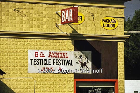 testicle festival graphic