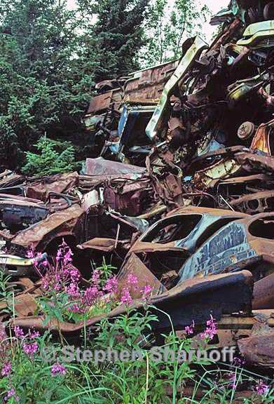 car dump haines graphic
