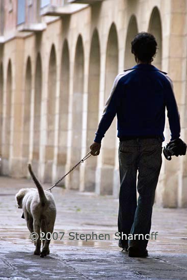 man and dog 1 graphic