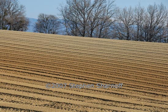provence plowed field graphic