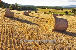 hay bales thumbnail grqphic