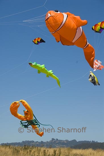 animal kites graphic