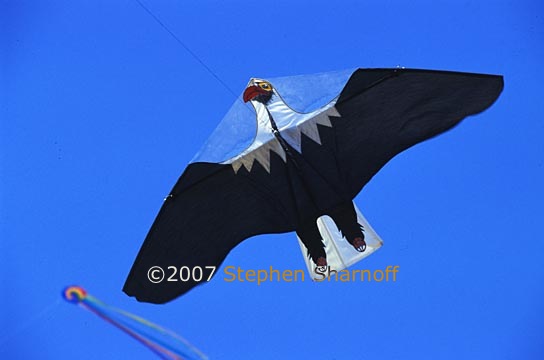 eagle kite graphic