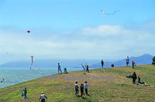 hillside with kites graphic