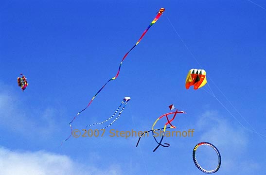 kites 7 graphic