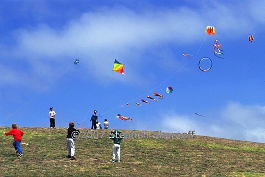 kites and people 1 graphic