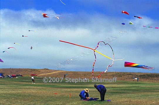 many kites graphic