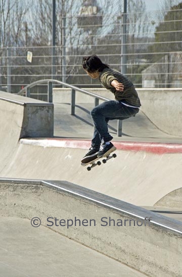skateboard 11 graphic