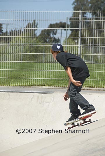skateboard 3 graphic