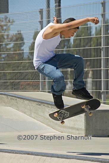 skateboard 1 graphic