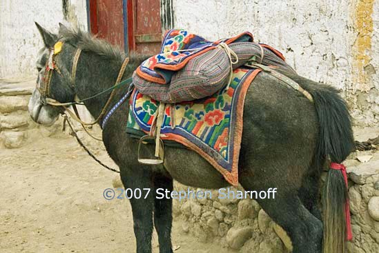mule in lm graphic