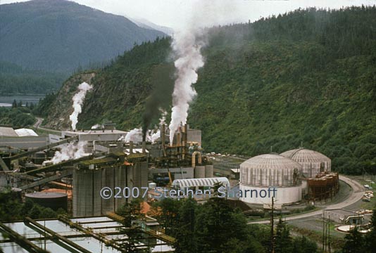 pulp mill graphic