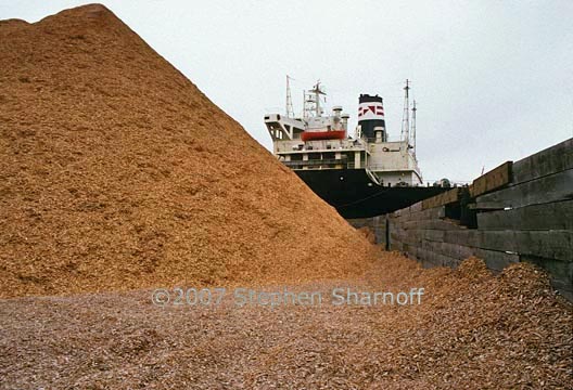wood chips 1 graphic