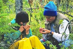 derr geiser thumbnail graphic