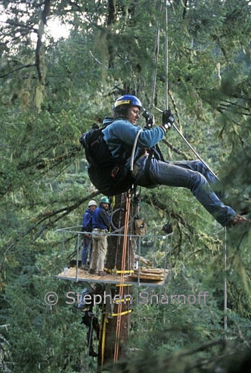 canopy traverse 1 graphic