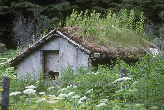 old cabin graphic