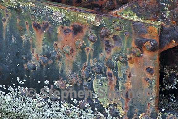 rusty metal and barnacles graphic