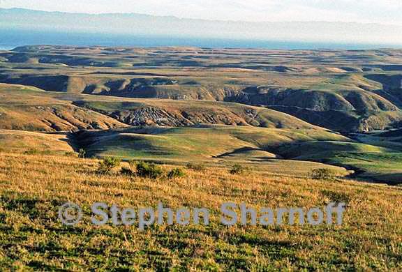 channel islands 1 graphic