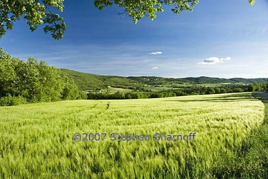 field with tracks graphic