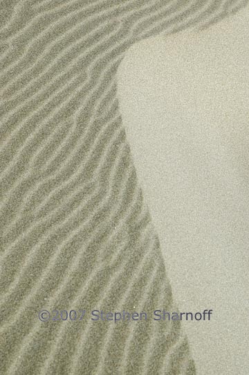 sand dune ripples 1 graphic