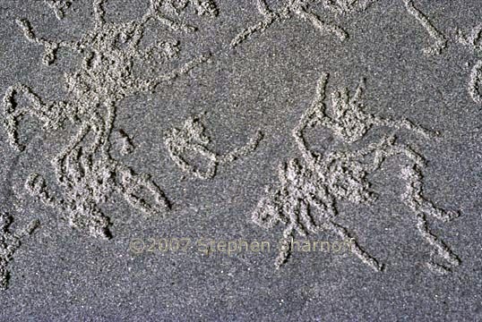 sand pattern 1 graphic