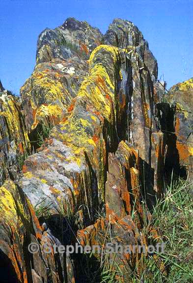slate rocks with lichens 1 graphic