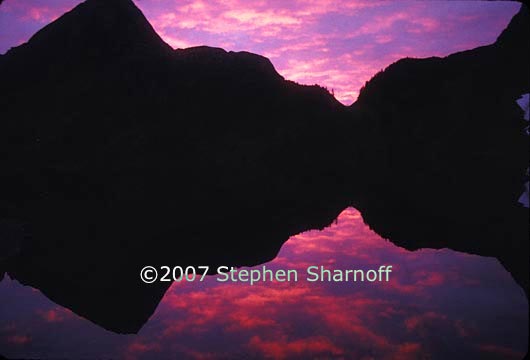 sunset charlottes horizontal graphic