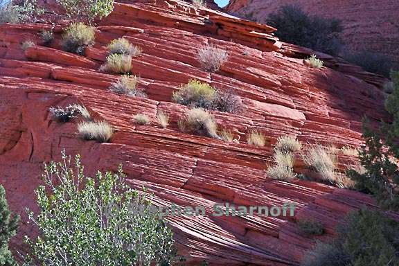 buckskin gulch graphic