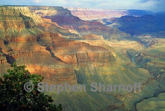 grand canyon graphic