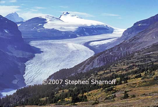 saskatchewan glacier graphic