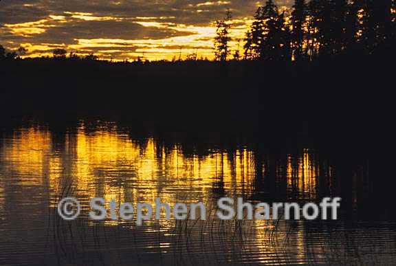 sunset at a lake graphic