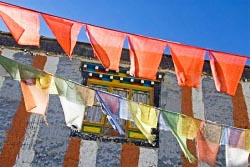 nctd monestery thumbnail graphic