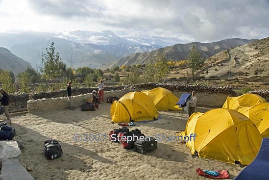 camp gehling graphic