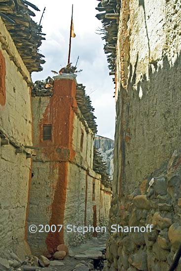 chele street graphic