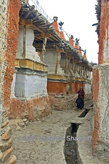 chortens woman graphic