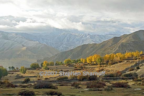 fields peaks gehling 1 graphic