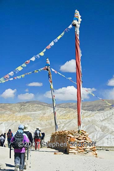 group near lm graphic