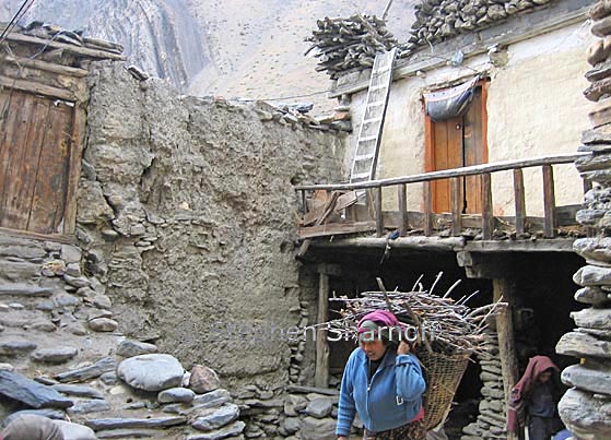 kagbeni woman graphic