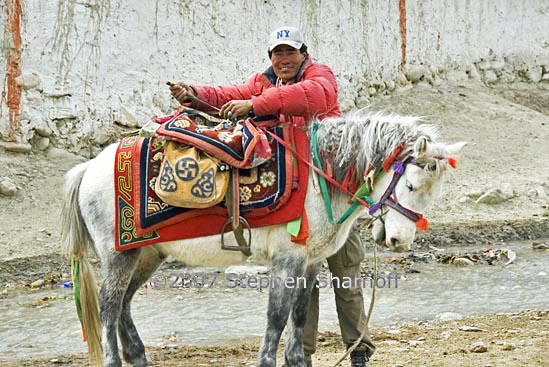 man with horse graphic