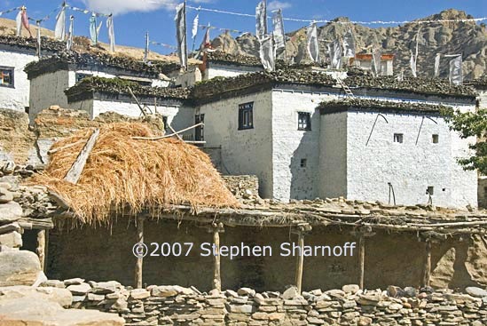 samar houses graphic