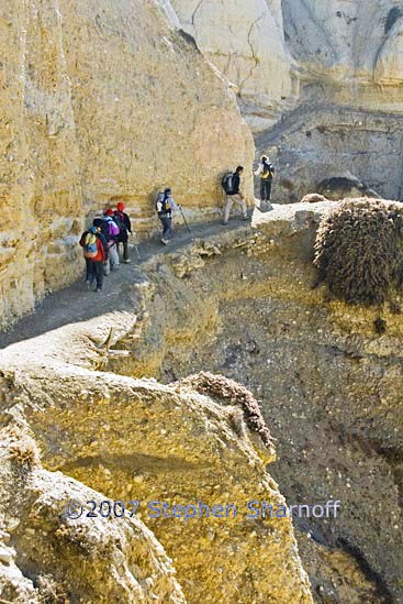 trail siyarko graphic