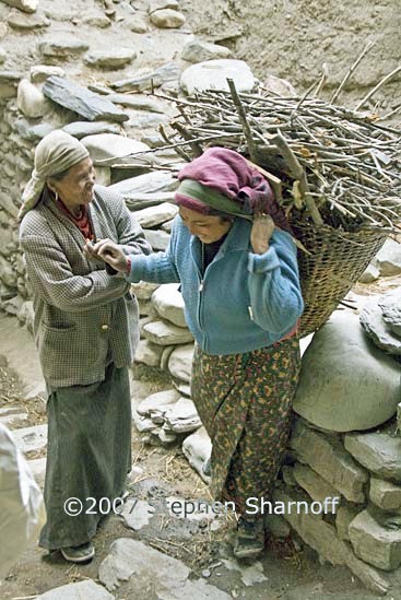 women basket graphic